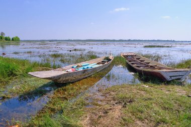 Rowing boat in the reservoir nature, landscape quiet place