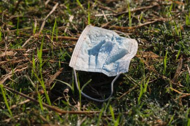 The morning sun hits the dew on the grass and a used mask. Thrown into nature