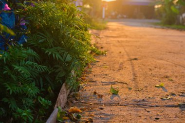 Concrete road natural morning landscape