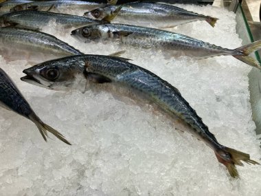 Bir süpermarketin market bölümünde buzda taze balık sunuluyordu..