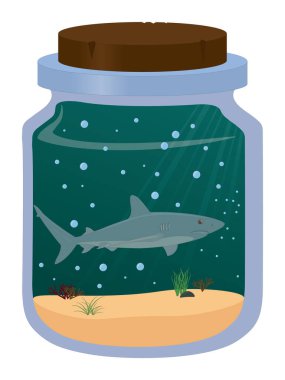 Cam kavanozda gri resif köpekbalığı çizimi