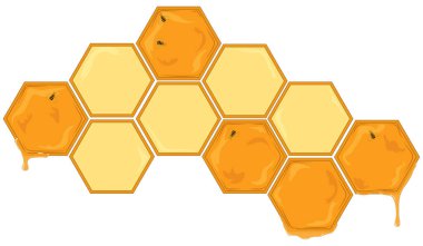 Altıgen bal peteği şekilli vektör çizimi