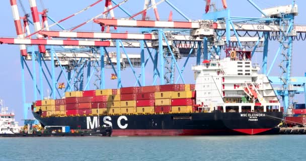Корабель Msc Mega Container Стикувався Порту Хайфи — стокове відео