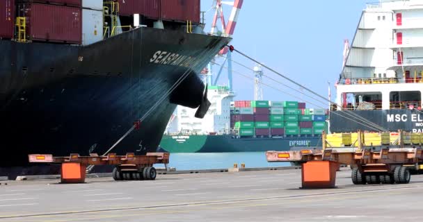 Ships Dock Port Truck Cargo Container Crosses Frame — Stock Video
