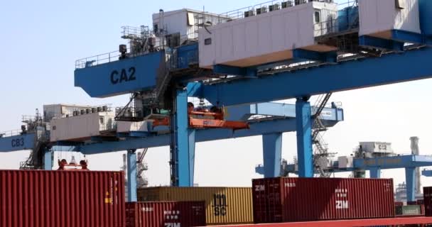 港口的起重机活动 货柜装卸过程中的货柜码头 — 图库视频影像