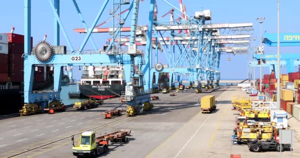 Crane Vehicle Activity Ship Port — Video Stock