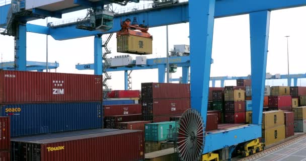Crane Activity Port Container Terminal Loading Unloading Cargo Containers — Vídeos de Stock