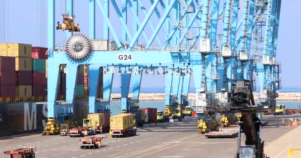 Crane Vehicle Activity Ship Port — Αρχείο Βίντεο