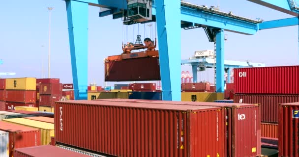Crane Activity Port Container Terminal Loading Unloading Cargo Containers — Stock Video