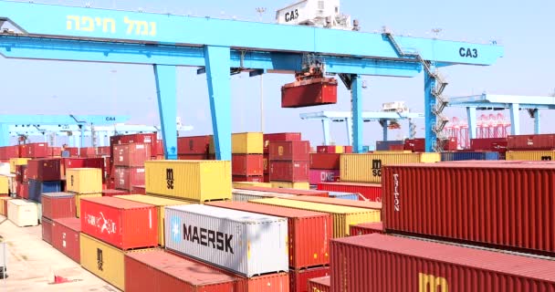 Crane Activity Port Container Terminal Loading Unloading Cargo Containers — Vídeos de Stock