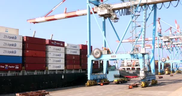Crane Vehicle Activity Ship Port — Stock Video