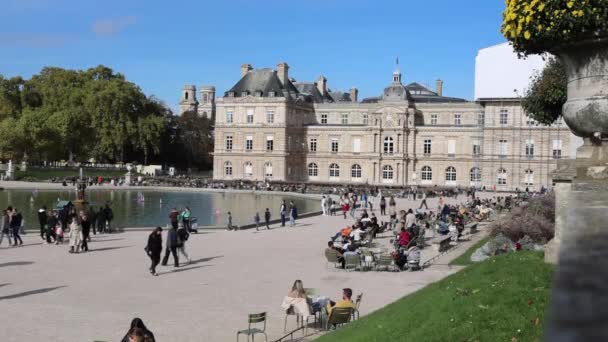 Pałac Luksemburski Wielki Basyn Ogrodu Luksemburskiego Paryżu Francja — Wideo stockowe