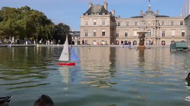 Palacio Luxemburgo Gran Bassin Del Jardín Luxemburgo París Francia — Vídeos de Stock