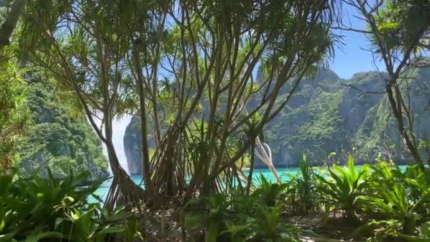 タイのピピ諸島国立公園のマヤ湾で波 美しいクリスタルクリアウォーター — ストック動画