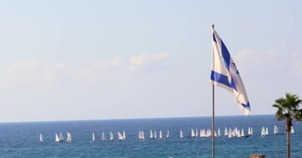 Izraelská Vlajka Vlaje Větru — Stock video