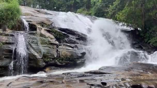 Piękny Wodospad Płynący Sercu Gęstego Zielonego Lasu Otoczony Wysokimi Drzewami — Wideo stockowe