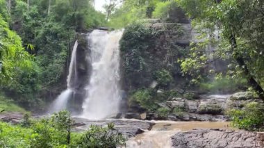 Canlı bir ormanda kayalar ve ağaçlar tarafından kucaklanan sakin bir şelale. Bu dingin vaha sizi doğanın harikalarına dalmaya davet ediyor..