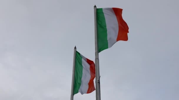 Two Ireland Flags Flutter Wind — Αρχείο Βίντεο