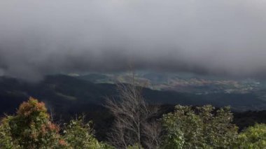 Etrafı yemyeşil ormanlarla çevrili puslu dağ manzarası, doğaya mükemmel bir kaçış yolu..
