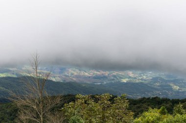 Yeşillik ve sık ağaçlarla çevrili sisli dağların muhteşem manzarası..