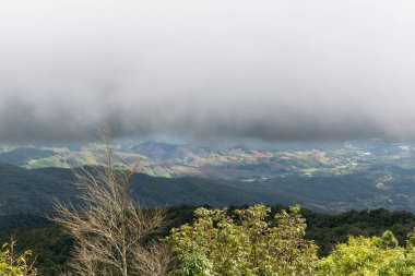 Yeşillik ve sık ağaçlarla çevrili sisli dağların muhteşem manzarası..