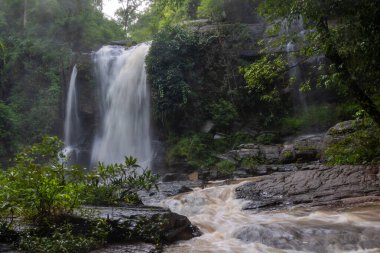 Serene Şelalesi Zarifçe Akıyor, Güzelce Çevrelenmiş Doğada Yeşillik.