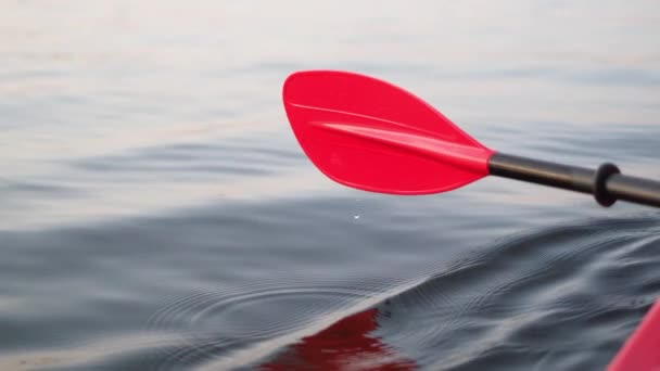 Rotes Paddel Aus Nächster Nähe Wasser Das Wasser Plätschert Boot — Stockvideo
