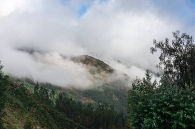 Büyüleyici tropikal tepe ruhani bulutlarla kaplanmış, büyüleyici bir stok görüntüsü.