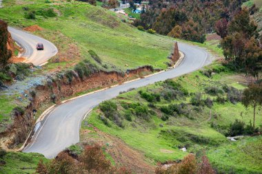 Bitkilerle kaplı bir dağın üzerindeki patikanın manzarası.