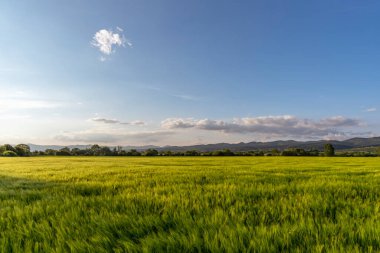 Muhteşem günbatımı, renkli bir panoramik manzara, geniş yeşil alan.