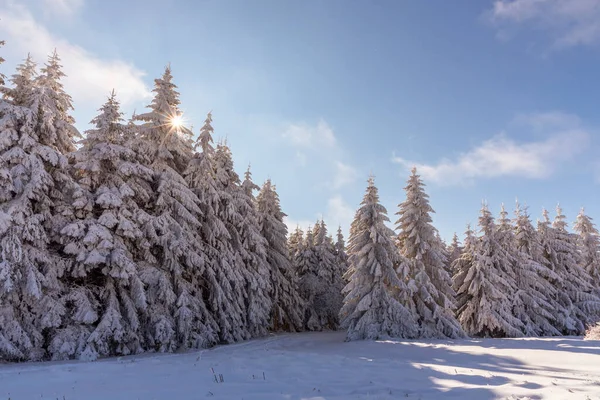 Winter landscape of Bulgarian mountains.