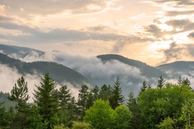 Vacha barajı etrafındaki yeşil tepeler, Rodop Dağları, Filibe Bölgesi, Bulgaristan.