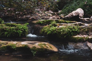 View of Kziv Stream at the end of the Black marked trail, Montfort Nahal Kziv National park, Western Galilee, Northern District of Israel, Israel. High quality photo