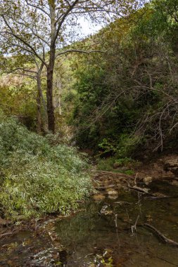 View of Kziv Stream at the end of the Black marked trail, Montfort Nahal Kziv National park, Western Galilee, Northern District of Israel, Israel. High quality photo