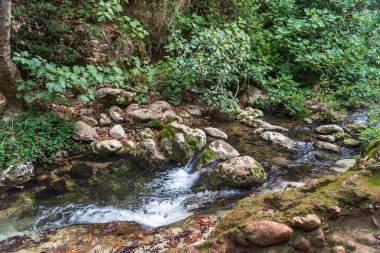 View of Kziv Stream at the end of the Black marked trail, Montfort Nahal Kziv National park, Western Galilee, Northern District of Israel, Israel. High quality photo