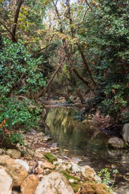 View of Kziv Stream at the end of the Black marked trail, Montfort Nahal Kziv National park, Ein Tamir, Ein Hardalit Western Galilee, Northern District of Israel, Israel. High quality photo