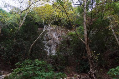 View of Kziv Stream at the end of the Black marked trail, Montfort Nahal Kziv National park, Ein Tamir, Ein Hardalit Western Galilee, Northern District of Israel, Israel. High quality photo