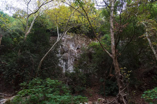 View of Kziv Stream at the end of the Black marked trail, Montfort Nahal Kziv National park, Ein Tamir, Ein Hardalit Western Galilee, Northern District of Israel, Israel. High quality photo
