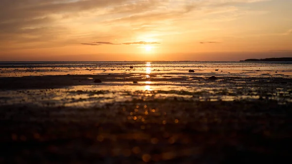 丹麦海岸上美丽的落日 — 图库照片