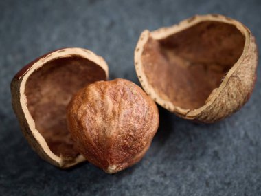 Açık fındıklı makro fotoğrafı kapat.