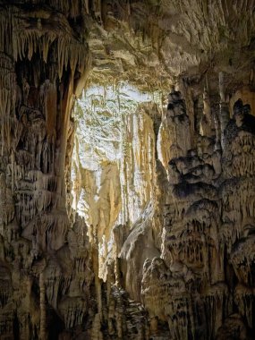 Postojna Mağarası ve onun Slovenya 'nın derinliklerinde yer alan şaşırtıcı doğal çarpışmaları