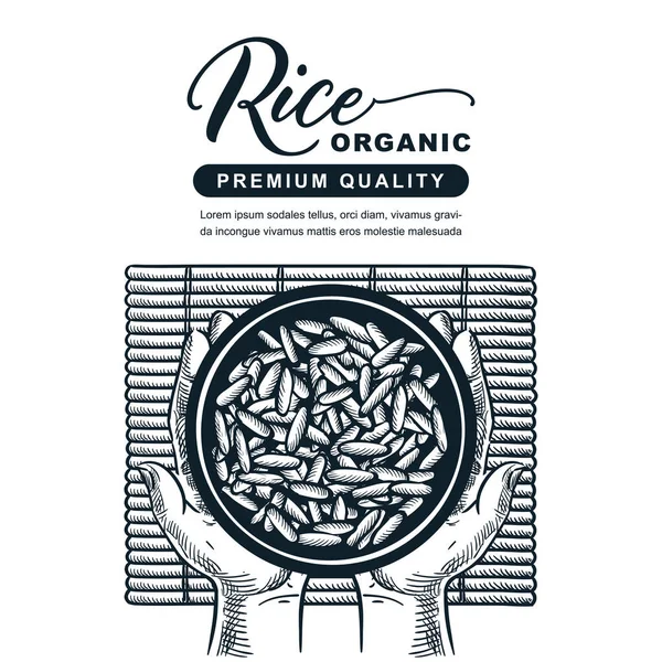Πακέτο Ρυζιού Ετικέτα Πρότυπο Σχεδιασμού Banner Μπολ Βραστό Ρύζι Στρώμα Εικονογράφηση Αρχείου