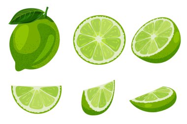 Olgun kireç ve dilimlenmiş set beyaz arka planda izole edilmiş. Vektör düz çizgi film çizimi. Tropikal meyve tasarımı elementleri