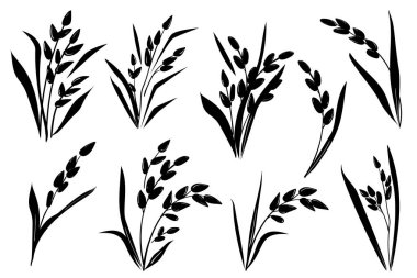 Pirinç kulaklı siyah siluet seti, beyaz arka planda izole edilmiş. Vektör el çizimi çizimi çizimi. Bitkiler, yapraklar, tahıl hasadı tarım ikonları. Paket, etiket, menü tasarım ögeleri