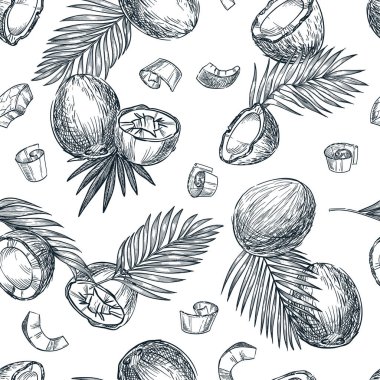 Hindistancevizi aralıksız desen. Kırık hindistan cevizi ve palmiye yapraklarının el çizimi çizimi tasviri. Gıda vejetaryeni organik ürünler. Kumaş tasarımı, ambalaj kağıdı, tekstil baskısı