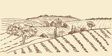 Tarlalar, çayırlar, üzüm bağları ve bahçeler. Vektör el, klasik robot resim, kırsal doğa çizimi. Çiftlik ürünleri etiketi, menü arka planı ve tasarım ögeleri
