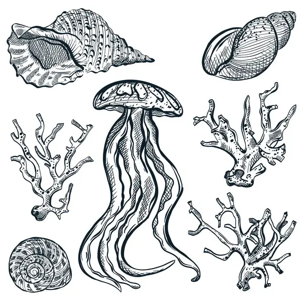 Okyanus yaşamı ikonları ve tasarım elementleri. Denizanaları, deniz kabukları ve mercanlar beyaz arka planda izole edilmiş. Vektör el, deniz kabuklarının çizimini çizdi
