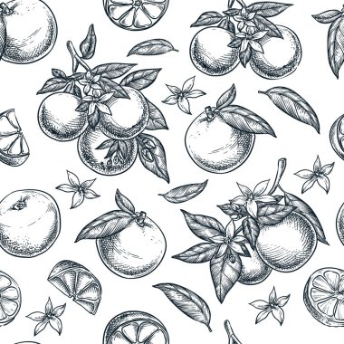 Portakallar pürüzsüz desen. Elle çizilmiş taslak vektör çizimi. Gıda ürünleri geçmişi. Kumaş tasarımı, ambalaj kağıdı, tekstil baskısı