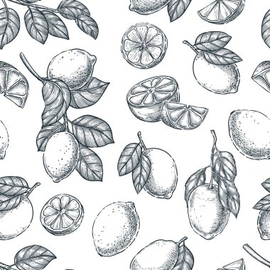 Limonlar kusursuz desen. El çizimi çizimi kireç çizimi. Gıda ürünleri geçmişi. Kumaş tasarımı, ambalaj kağıdı, tekstil baskısı