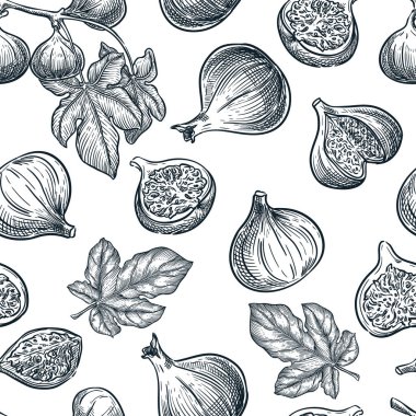 İncir pürüzsüz desen. Elle çizilmiş taslak vektör çizimi. Gıda ürünleri geçmişi. Kumaş tasarımı, ambalaj kağıdı, tekstil baskısı